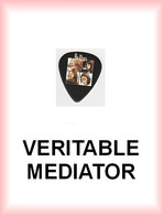 BEATLES MEDIATOR Medium PLECTRUM Guitar Pick (groupe) - Accessori & Bustine