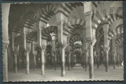 CORDOBA. Mosquée- Cathédrale Labyrinthe De Colonnes   Maca 08106 - Córdoba