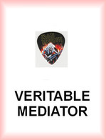 IRON MAIDEN MEDIATOR Medium PLECTRUM Guitar Pick (guitare) - Zubehör & Versandtaschen