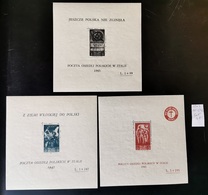 REGNO 1946 CORPO POLACCO - 1946-47 Zeitraum Corpo Polacco