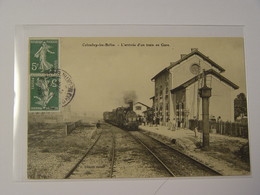 MEURTHE ET MOSELLE-COLOMBEY LES BELLES -L'ARRIVEE D'UN TRAIN EN GARE -ANIMEE SELECTION - Colombey Les Belles