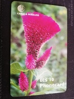 ANTIGUA  $10,- CHIPCARD FLOWER CELOSIA    Fine Used Card  ** 428 ** - Antigua En Barbuda