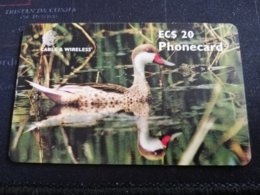 ANTIGUA  $20,- CHIPCARD WHITE CHEEKED PINTAIL  DUCK   Fine Used Card  ** 430 ** - Antigua En Barbuda