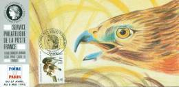 128 Carte Officielle Exposition Internationale Exhibition Paris 1995 FDC Audubon Buse Pattue Rapace Bird Vogel Adler - Aigles & Rapaces Diurnes