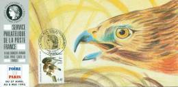 128 Carte Officielle Exposition Internationale Exhibition Paris 1995 FDC Audubon Buse Pattue Rapace Bird Vogel Adler - Eagles & Birds Of Prey