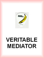 VELVET UNDERGROUND MEDIATOR Medium PLECTRUM Guitar Pick (banane) - Accessoires, Pochettes & Cartons