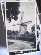 Nederland Holland Pays Bas Laren Het Gooi Met Korenmolen - Laren (NH)