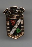 Pin's Blason F TESTARD....BT20 - Police