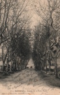 Monteux (Vaucluse) Avenue De La Porte Neuve - Editions J. Brun Et Cie, Carte N° 3 - Monteux