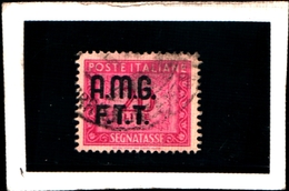 93428) ITALIA.- Trieste AMG-FTT- 1947-49- 10 LIRE-Segnatasse 2 RIGHE-Ruota USATO - Segnatasse