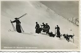 Sport   Ski  Neige  Montagne Grand St Bernard     Un Sauvetage - Sonstige & Ohne Zuordnung