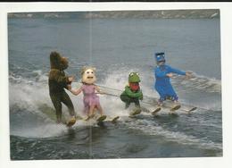 SPORT . SKI NAUTIQUE . DEGUISE   MUPPETS  . KLEIN STRAND . JABBEKE . BELGIQUE - Sci Nautico