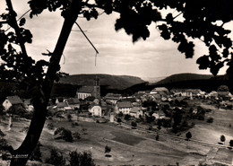 Wangenbourg (Bas-Rhin) Suisse D'Alsace, Vue Générale - Edition La Cigogne - Collection Schlick - Woerth