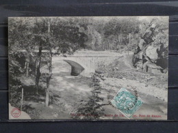 Z32 - 09 - Ax-les-Thermes - Route De L'Hospitalet - Pont De Runac - Phototypie Gadrat - 1905 - Ax Les Thermes