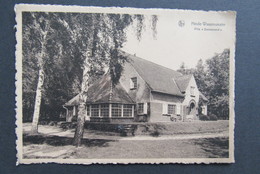 Carte Postale Heide Waamunster Villa Dennenoord Lusthof Lekkerbek Cafe De Maere Hamme - Waasmunster