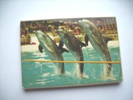 Nederland Holland Pays Bas Mapje Met Kaarten Dolfinarium Dolfijnen Dolfins Harderwijk - Harderwijk