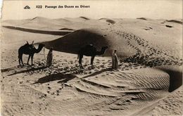 CPA AK Passage Des Dunes Au Désert ALGERIE (874282) - Plaatsen