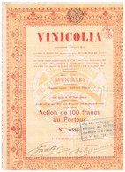 Titre Ancien - VINICOLIA - Titre De 1921 - - Autres & Non Classés