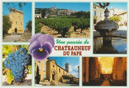 VAUCLUSE UNE PENSEE DE CHATEAUNEUF DU PAPE - Chateauneuf Du Pape