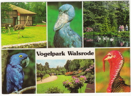 Vogelpark Walsrode - (Niedersachsen, Deutschland) - Walsrode