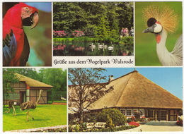 Grúße Aus Dem Vogelpark Walsrode - (Niedersachsen, Deutschland) - Walsrode