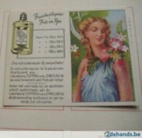 10 Cartes Differentes, + L'album Vide, Tous Comme Neuf , Femmes Célèbres De L'histoire Laboratoires TUYPENS Sint Niklaas - Anciennes (jusque 1960)