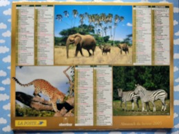 CALENDRIER DU FACTEUR ALMANACH ANIMAUX DE LA SAVANE ZEBRE LIONNE ELEPHANT GUEPARD 2005 - Grand Format : 1991-00