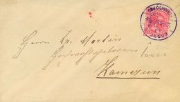 1898. 5 Ctvos Sobre 2 Ctvos Rosa. FERNANDO POO A CAMERUN. Matasello CORREOS / FERNANDO POO, En Violeta Y Al Dorso Llegad - Autres & Non Classés