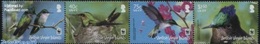 British Virgin Islands 2014, Humming Birds, MNH Stamps Set - British Virgin Islands
