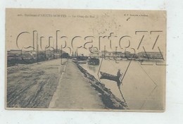 Le-Grau-du-Roi (30) : La Route D'Aigues Mortes Le Long Du Canal Arrivée Au Bourg En 1905 (animé) PF. - Le Grau-du-Roi