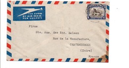 AFRIQUE DU SUD LETTRE POUR LA FRANCE 1955 - Nieuwe Republiek (1886-1887)