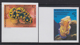 NEW CALEDONIA (1990) Sea Slugs. Set Of 2 Imperforates. Scott Nos 629-30, Yvert Nos 592-3. - Geschnittene, Druckproben Und Abarten