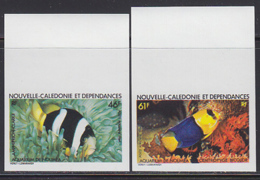 NEW CALEDONIA (1984) Fish In Noumea Aquarium. Set Of 2 Imperforates. Scott Nos C193-4, Yvert Nos PA236-7. - Ongetande, Proeven & Plaatfouten