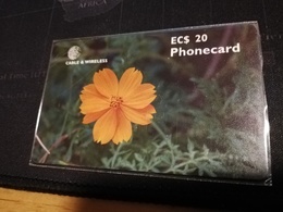 ANTIGUA  $20,-,- CHIPCARD FLOWER ORANGE COSMOS    Fine Used Card  ** 517 ** - Antigua En Barbuda