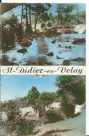 SAINT-DIDIER-EN-VELAY  ( HAUTE-LOIRE ) MULTI-VUES - Saint Didier En Velay