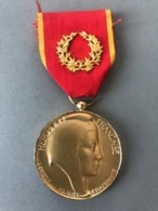 Médaille Société Industrielle De L'Est M.J. THOUVIGNON (Provenant Ducadre Fabriqué Le Propriétaire était Sculpteur JT... - Altri & Non Classificati