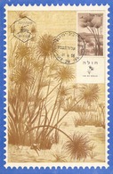 Israel Año 1956 Yvert 15 Carta Postal No Circulado Matasellos Day Of Issue - Cartes-maximum