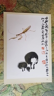 CHINA Art Postcard "Mantis And Mushrooms"  By Qi Baishi  - Old PC 1950s Mushroom Champignon - Champignons