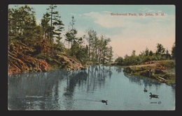 Rockwood Park, St. John NB - 1910s - Unused - Some Wear - St. John