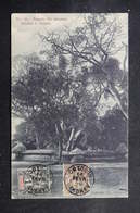 DAHOMEY - Carte Postale - Temple Des Serpents Fétiches à Ouidah - L 56273 - Dahomey