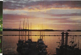 CANADA - PRINCE RUPERT - The Fishing Boats    JYV - Prince Rupert