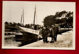 CP Photo Animée 22 Penvénan Port Blanc Un Coin Du Port - Ed Waron 838 - Bateau Pêche Voile ... - Penvénan