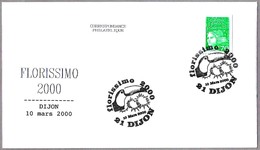 Florissimo - TUCAN - TOUCAN. Dijon 2000 - Mechanical Postmarks (Advertisement)