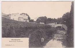 13 / PELISSANNE / BORDS DE LA TOULOUBRE - Pelissanne