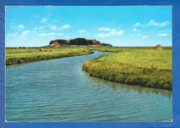 Deutschland; Hallig Hooge; Backenswarft - Halligen