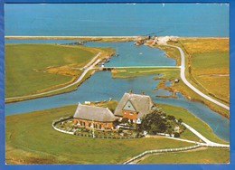 Deutschland; Hallig Hooge; Kirchwarft - Halligen