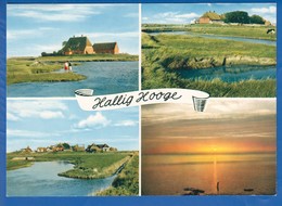 Deutschland; Hallig Hooge; Multibildkarte; Bild1 - Halligen