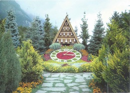Tamins - Dahlien- Und Herbstblumenschau  (Blumenuhr Mit Glockenspiel)            Ca. 1990 - Tamins