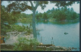 °°° 19330 - NICARAGUA - GRAN LAGO DE NICARAGUA °°° - Nicaragua