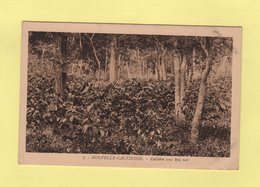 Cafeiere Sous Bois Noir - Nouvelle-Calédonie